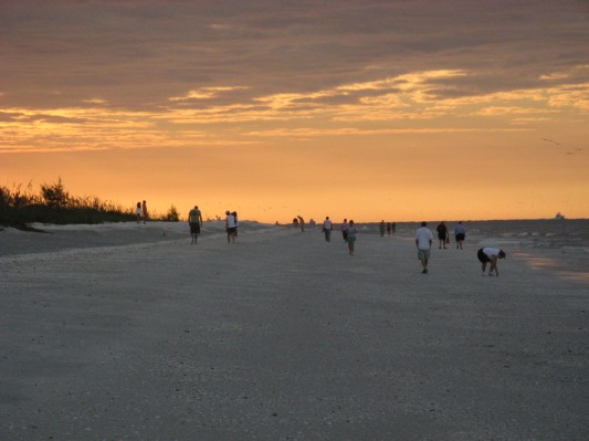 Solopgang på Sanibel, vi samler skaller