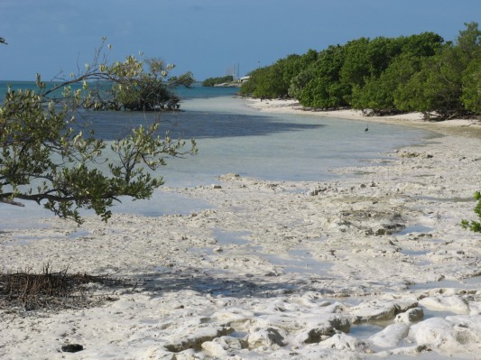 Annes Beach på vej til Key West