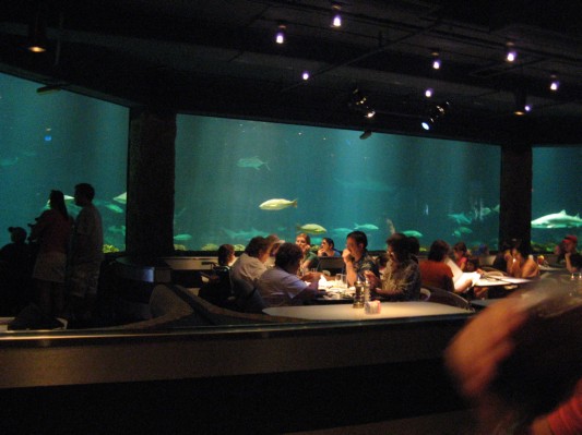 Underwater shark restaurant