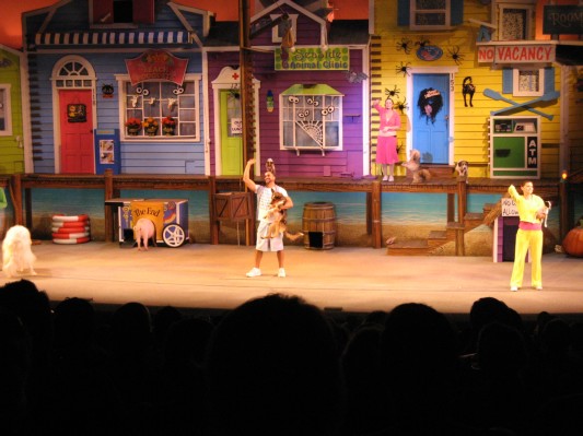 Pet animal show