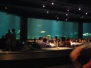 Underwater shark restaurant