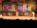Pet animal show